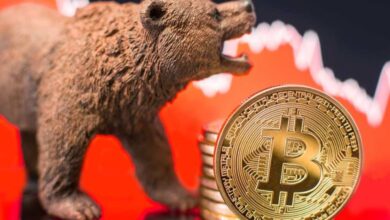 Bear - Urso - Bitcoin (BTC) e altcoins