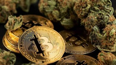 Maconha -cannabis- Bitcoin (BTC)