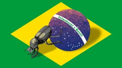 Como tankar o Brasil (Bostil)?